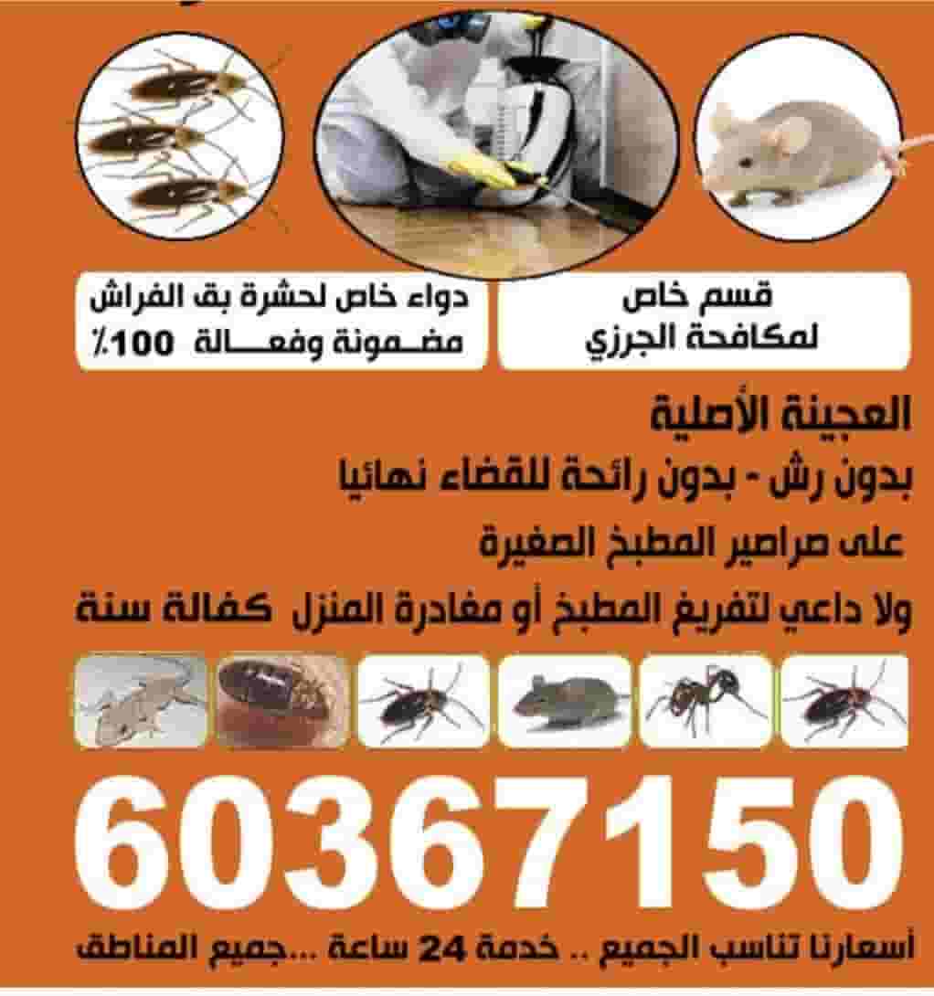 مكافحة الحشرات