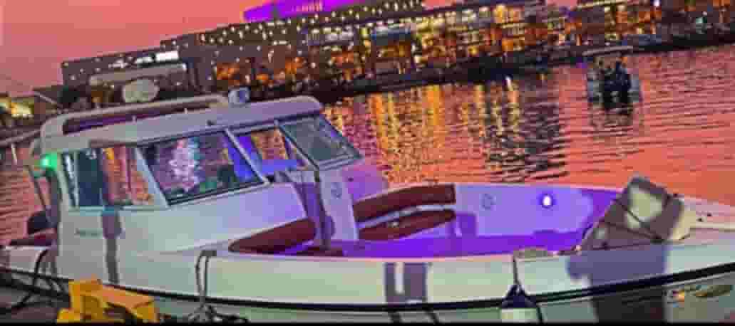 cruises 