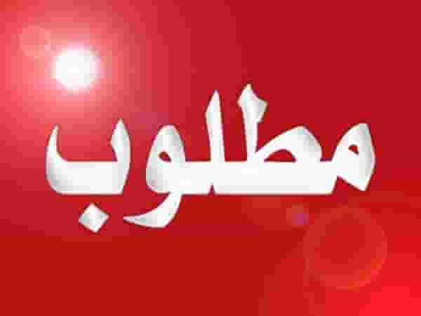 مطلوب شقة لسكن موظفين