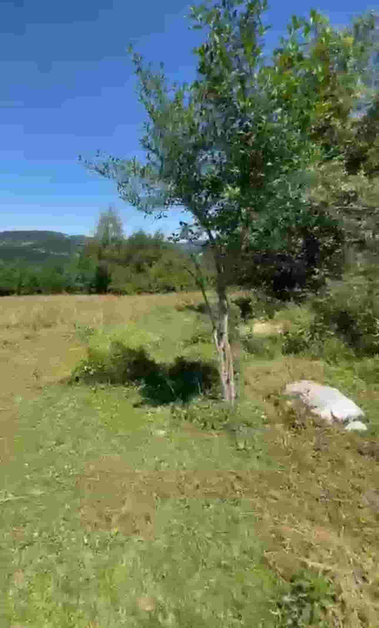 ارض للبيع في البوسنه