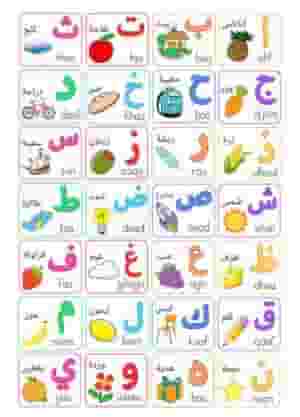 معلمة تاسيس شامل 