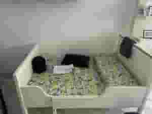 سرير ايكيا بطول قابل للتعديل