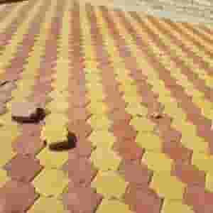 شركة الباجي لاعمال الديكور