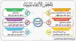 First teacher of Arabic language with great educational experience
