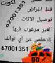 خدمه تنظيف منازل