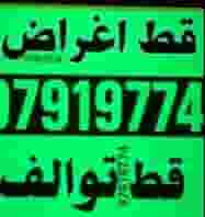 نقل خيام اغراض