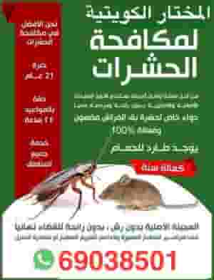 مكافحة حشرات وقوارض