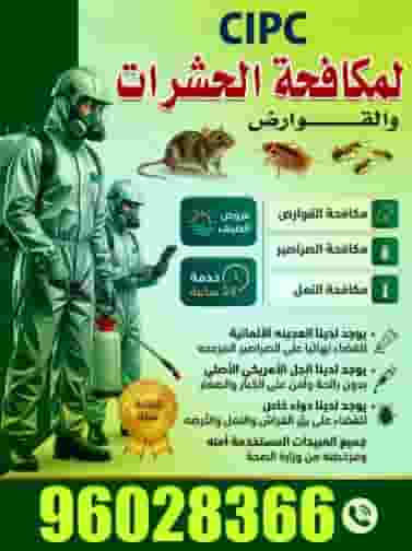 مكافحة الحشرات والقوارض 