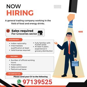 Sales representative for the groceries sector