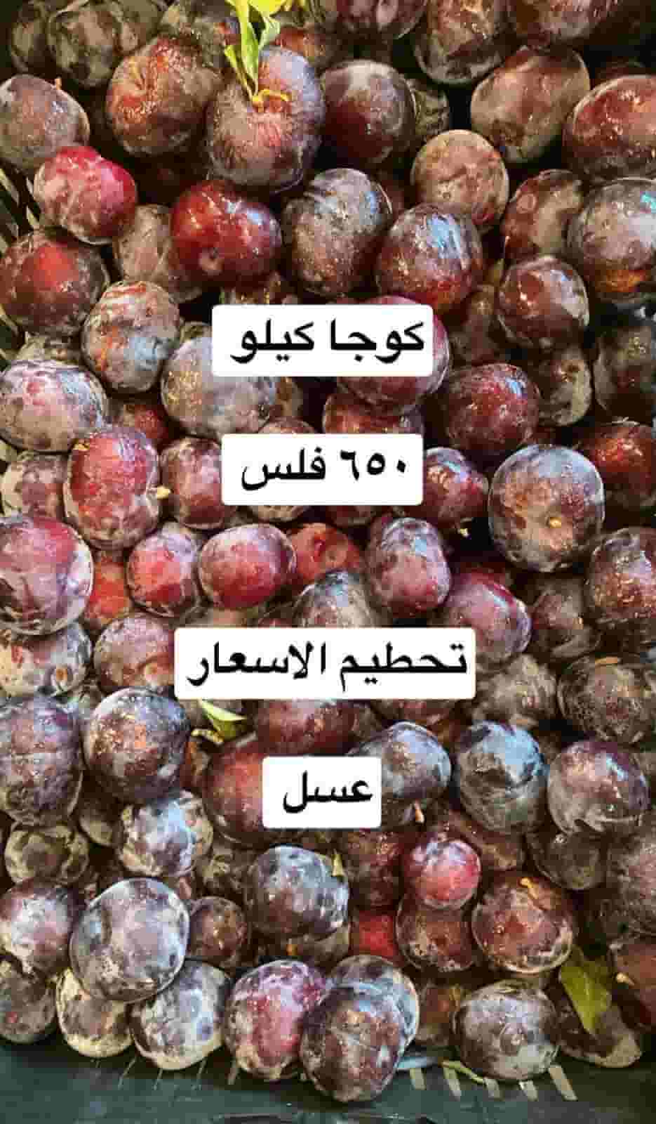 Logy for vegetables and fruits Logy for vegetables and fruits