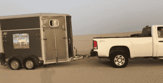 Horse transportation in all areas of Kuwait Horse transportation in all areas of Kuwait