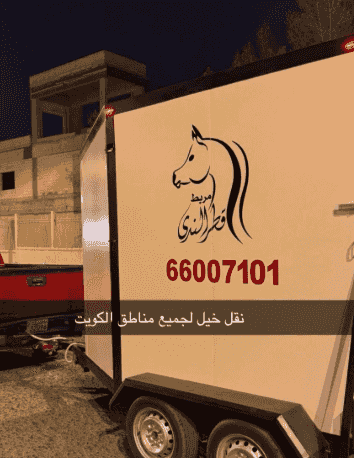 Horse transport to all areas of Kuwait Horse transport to all areas of Kuwait