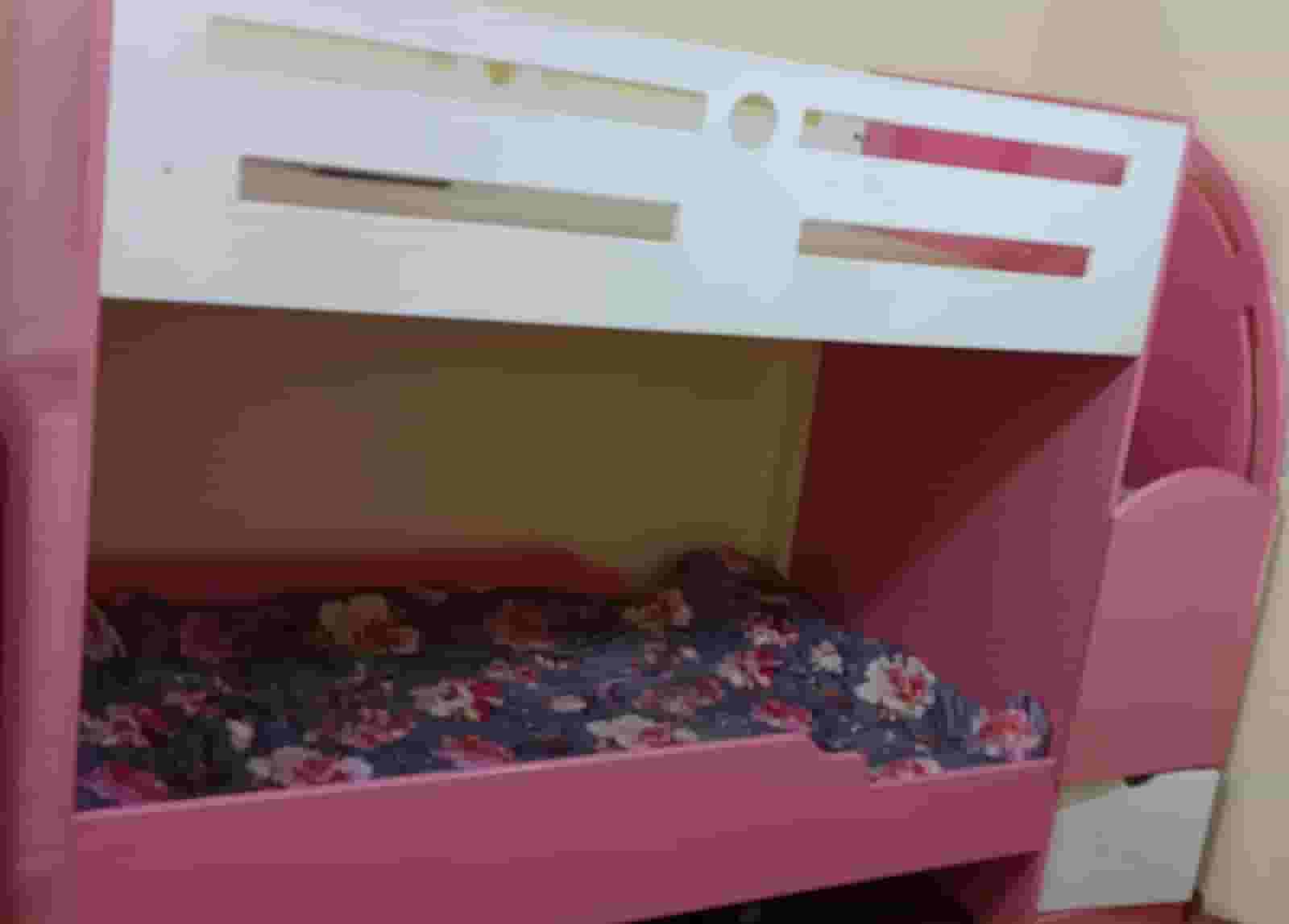 bunk bed for sale bunk bed for sale