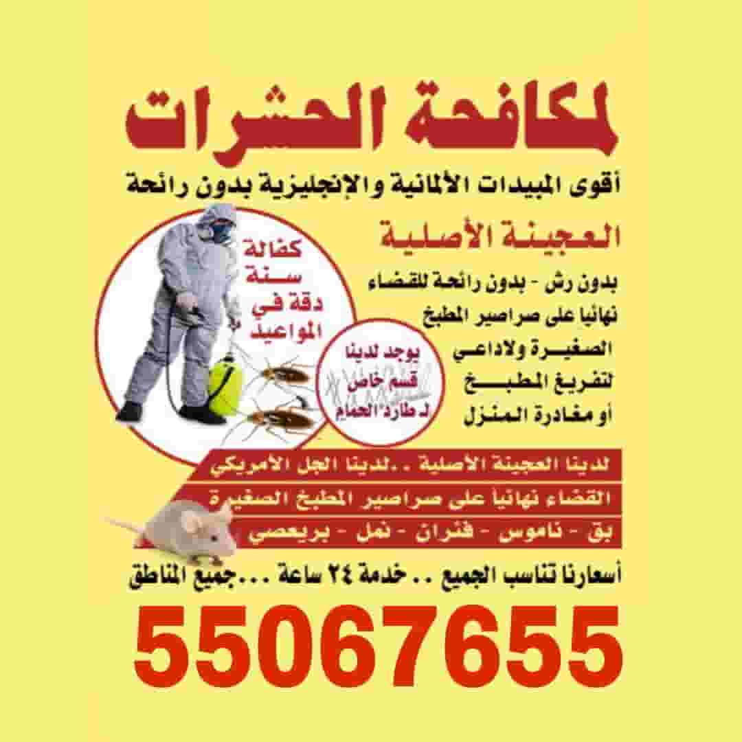 Pest and rodent control Pest and rodent control
