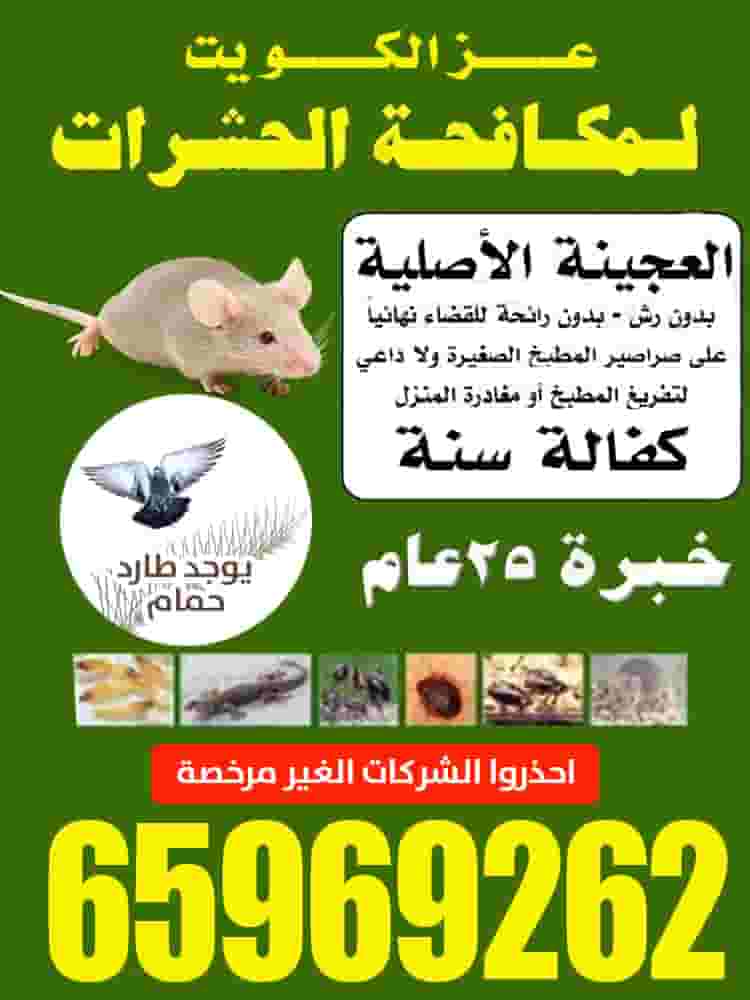 Ezz Al Kuwait Pest Control Ezz Al Kuwait Pest Control