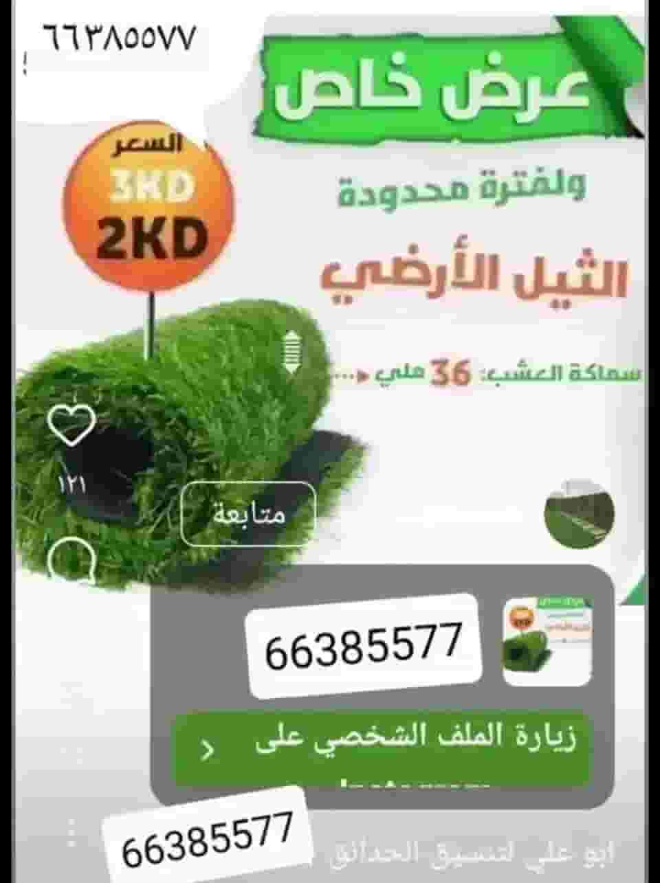 Abu Ali landscaping Abu Ali landscaping