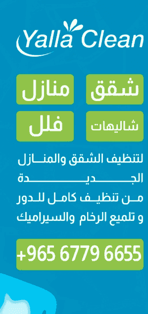 House cleaning service House cleaning service