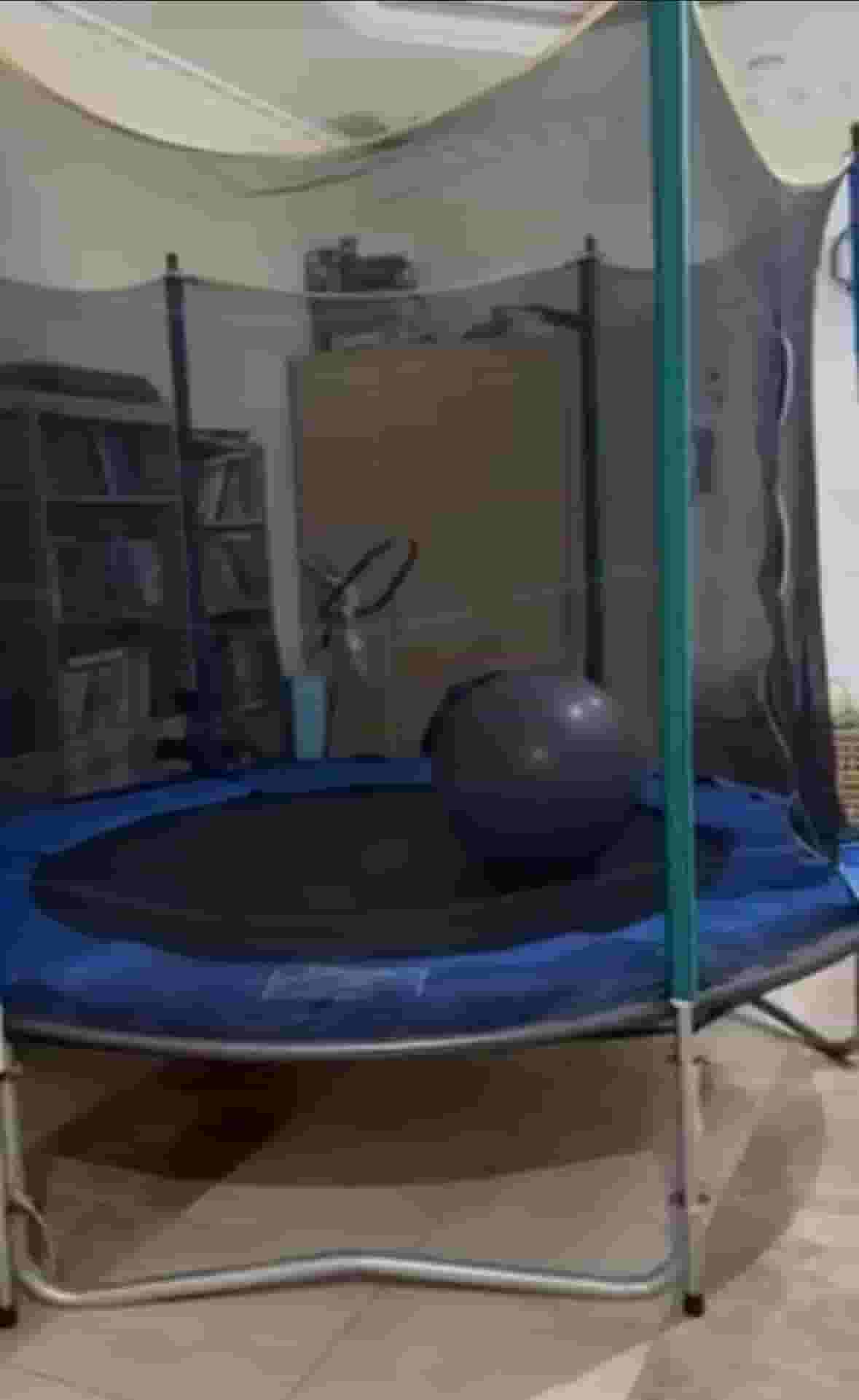 نطاطية كبيرة رول زراعي و مظله نطاطية كبيرة رول زراعي و مظله