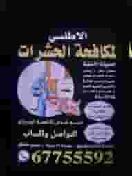مكافحة الحشرات والقوارض داخل الكويت مكافحة الحشرات والقوارض داخل الكويت