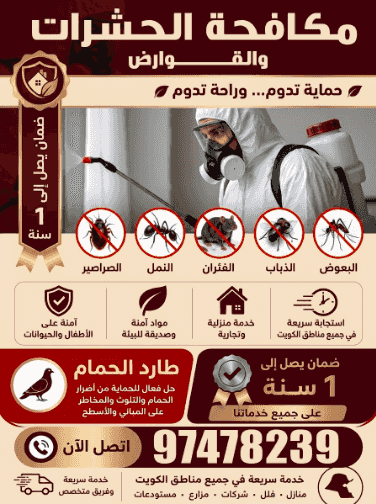 مكافحة الحشرات والقوارض مكافحة الحشرات والقوارض